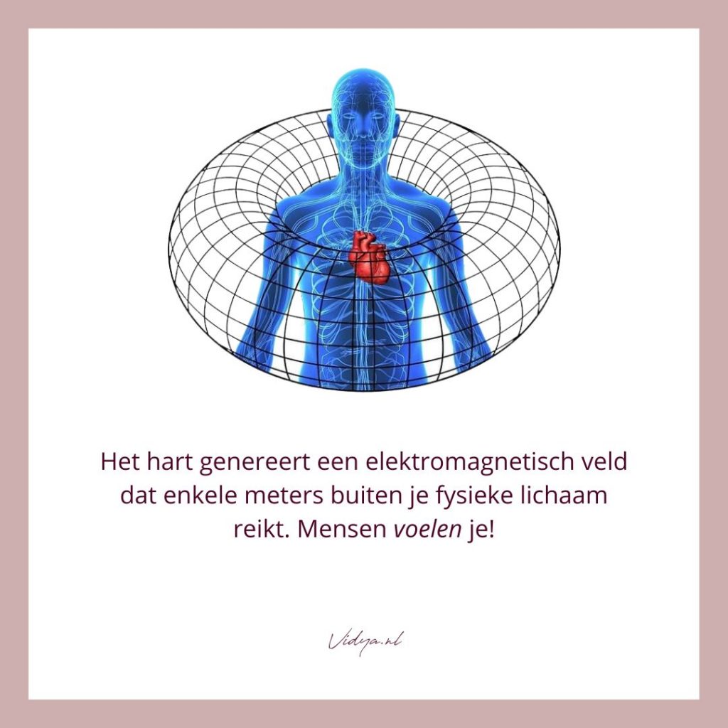 Bioveld liefde en relaties