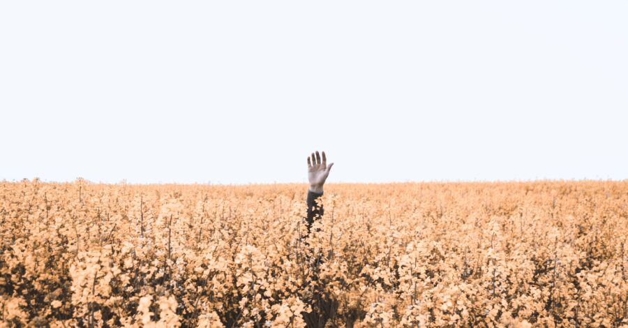 Tweelingziel de oorzaak van verloren verbinding met jezelf